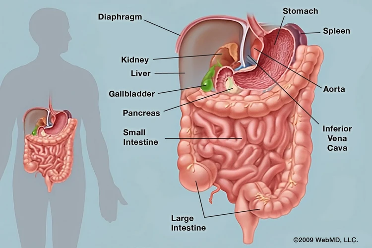 Đau bụng: Những điều bạn nên biết