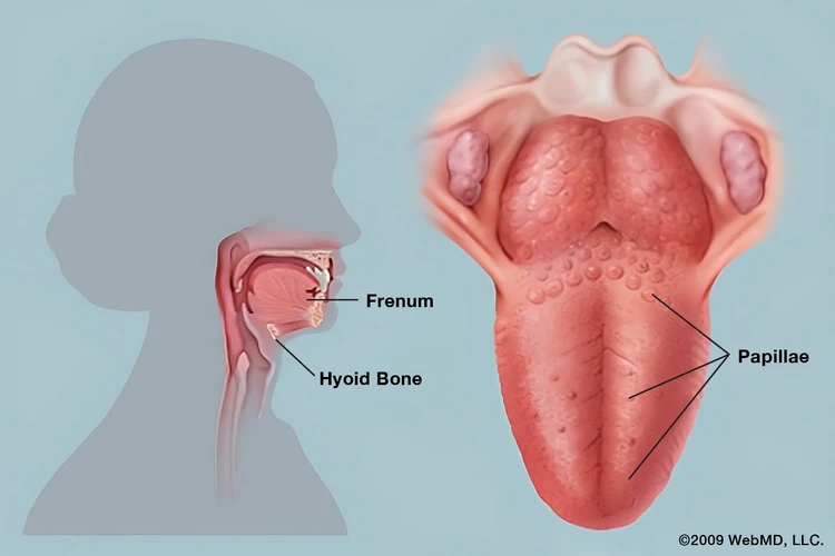 Vấn đề về lưỡi