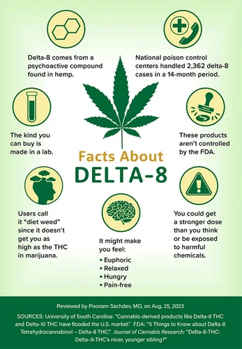 Delta-8 THC: Những điều bạn cần biết về Cannabinoid này