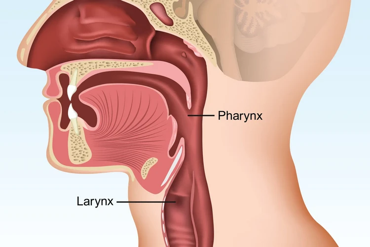 Ung thư vòm họng: Những điều cần biết