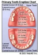 Sức khỏe răng miệng và răng của con bạn