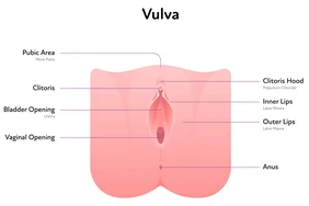 Tự kiểm tra âm đạo là gì?