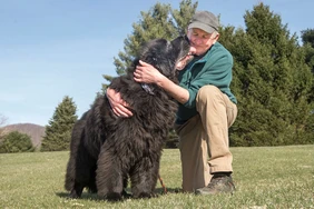 Những điều cần biết về Newfoundlands