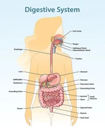 Tại sao tôi bị táo bón?